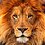BitLion